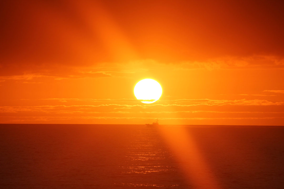 Hôtel H10 Las Palmeras - La Vue de la Chambre 2013 H10 Las Palmeras