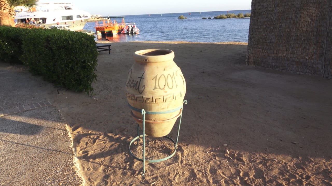 Gastro Sheraton Miramar Resort El Gouna