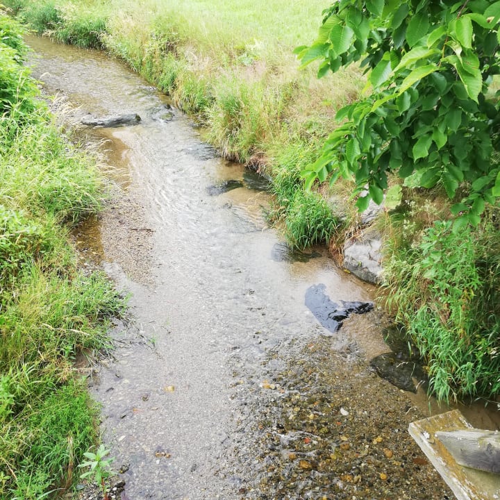 Garten Vivea Hotel Bad Schönau - Zur Quelle