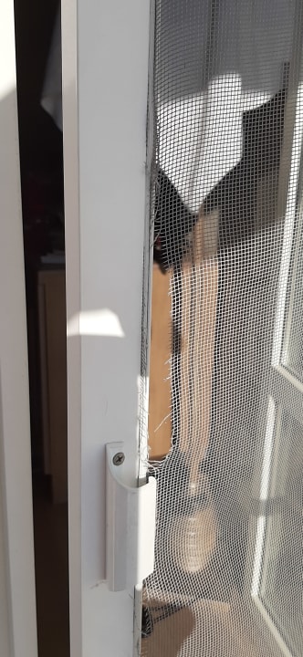 Zimmer Marvida Family Eco