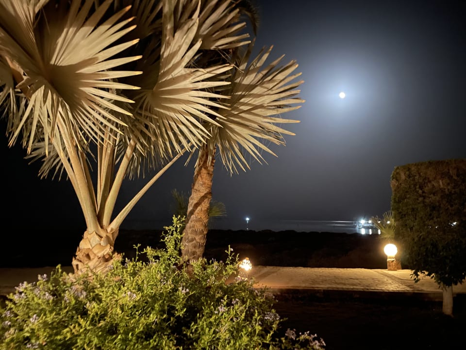 Außenansicht Shams Alam Beach Resort