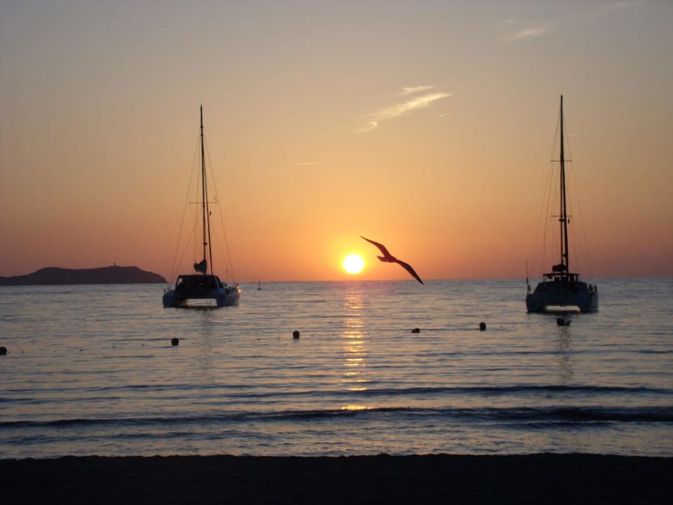 Playa Es Pouet  Hotel Osiris