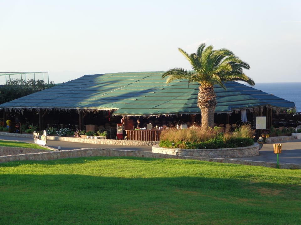 Safari Bar Hotel Kalithea Horizon Royal