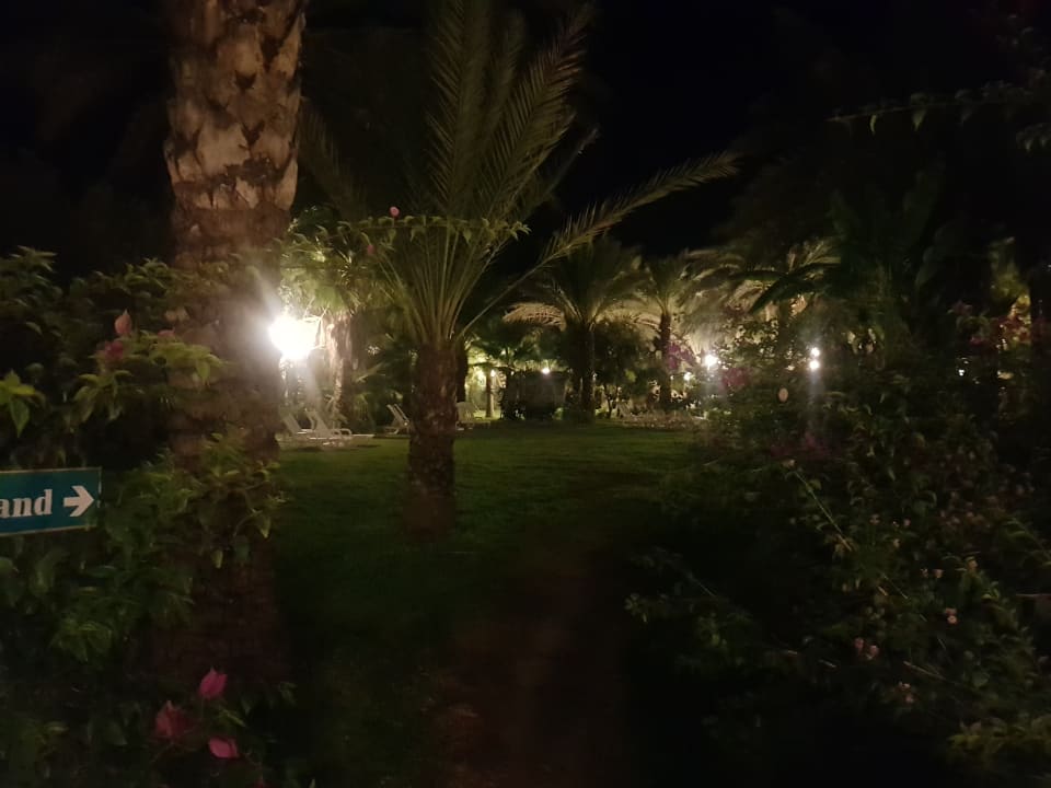 Gartenanlage Hotel Yetkin