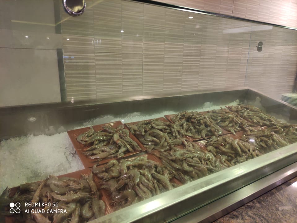 Gastro Pickalbatros Aqua Vista Resort - Hurghada