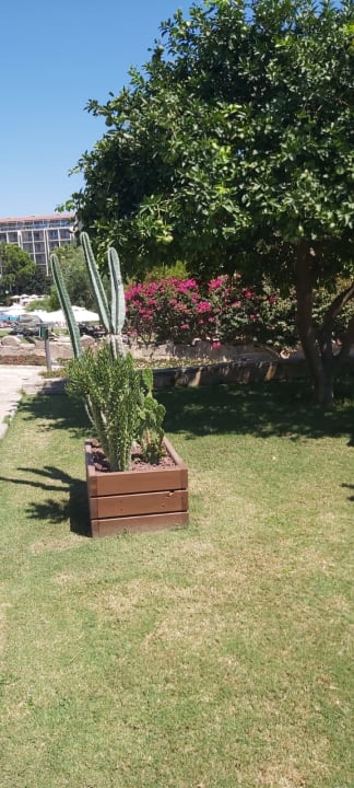 Gartenanlage Arum Barut Collection
