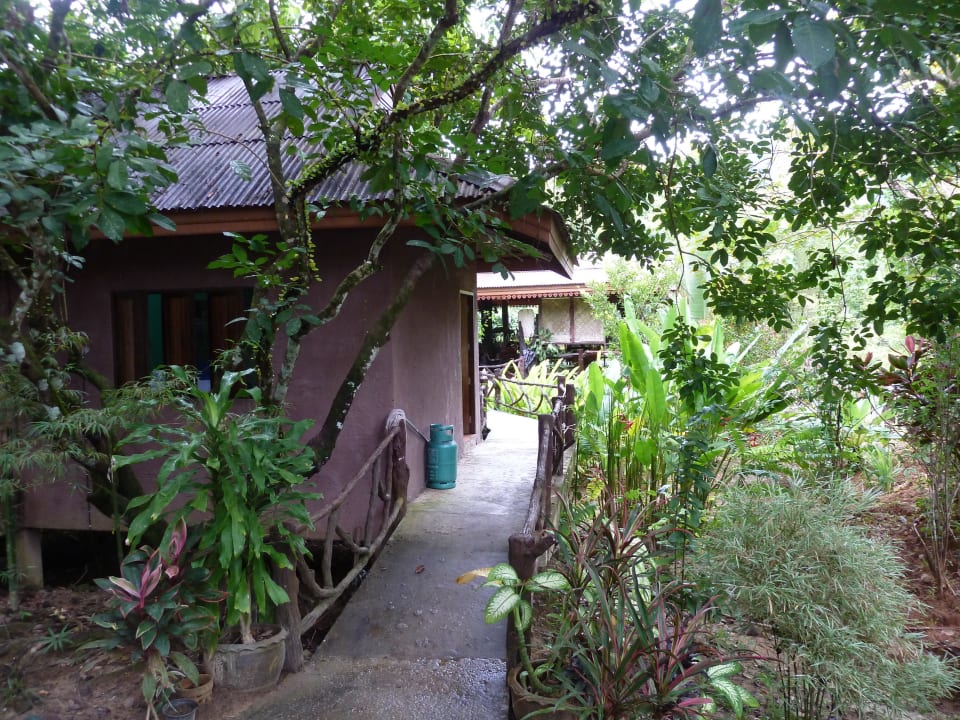 Weg zur Lobby Khao Sok Paradise Resort