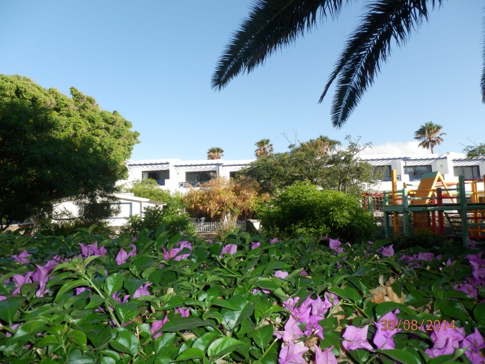 Apartmány Relaxia Olivina