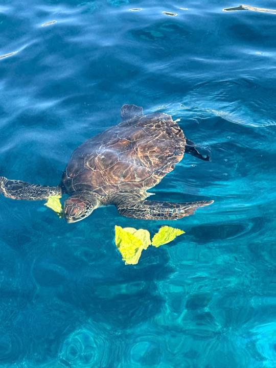 Sport & Freizeit Hotel Grecian Bay