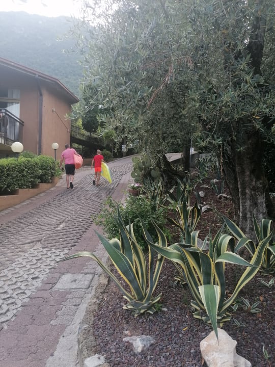 Gartenanlage Leonardo da Vinci