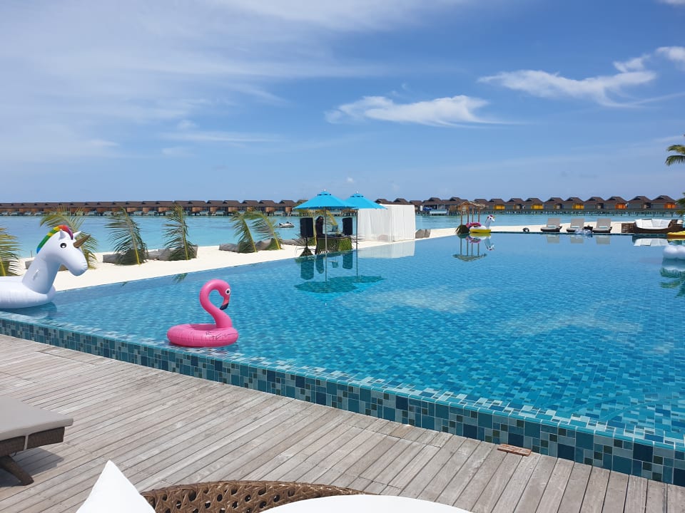 Pool The Standard Maldives