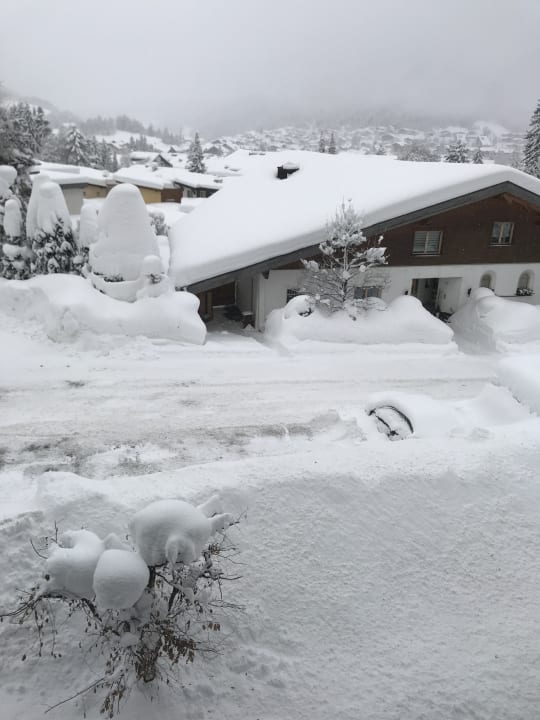 Ausblick Försterhäusl