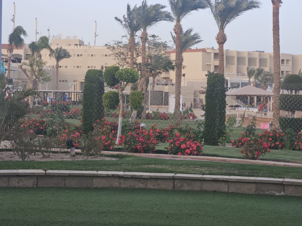 Gartenanlage Pickalbatros Palace Resort