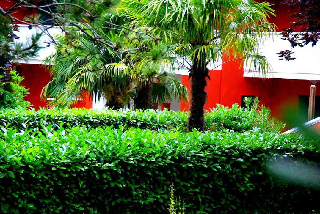 Villa Erika und was dazu gehört Villa Erica