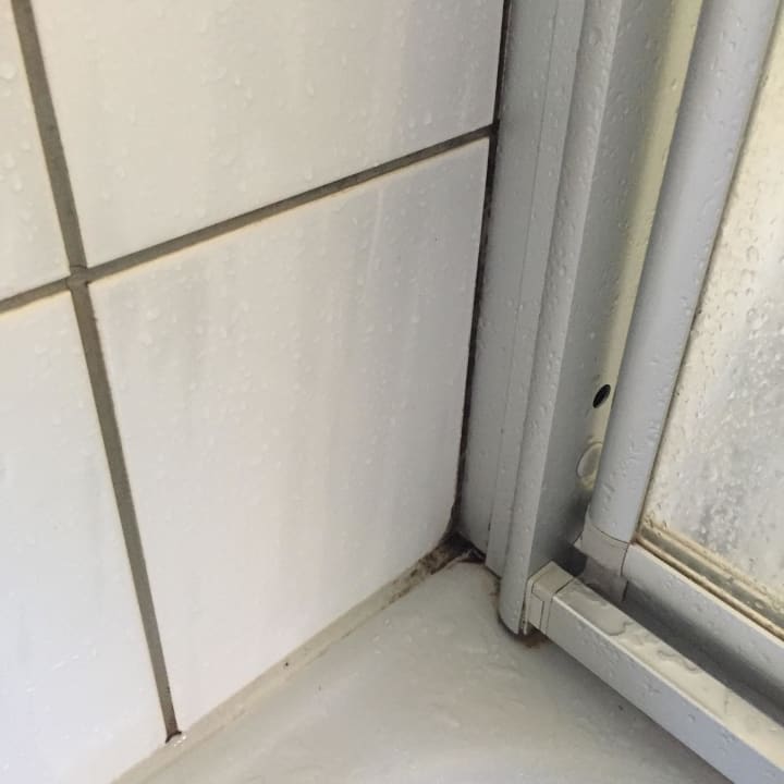 Schimmel in der Dusche Center Parcs Park Nordseeküste