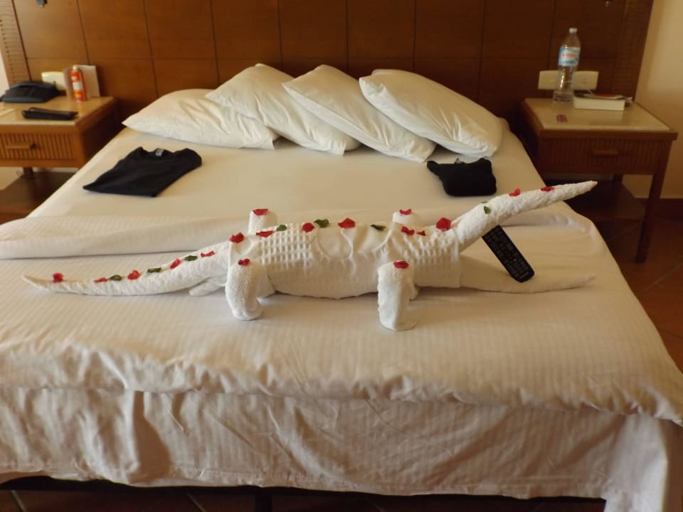 Handtuch-Krokodil Charmillion Gardens Aquapark