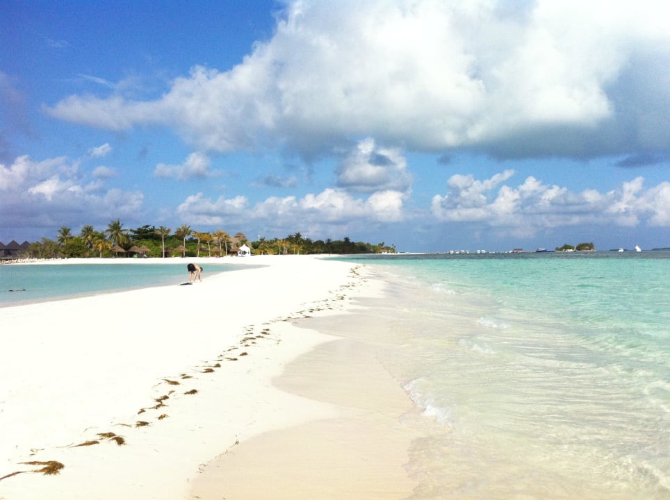 Blick zum Insel von der Sandbank Kuredu Island Resort & Spa