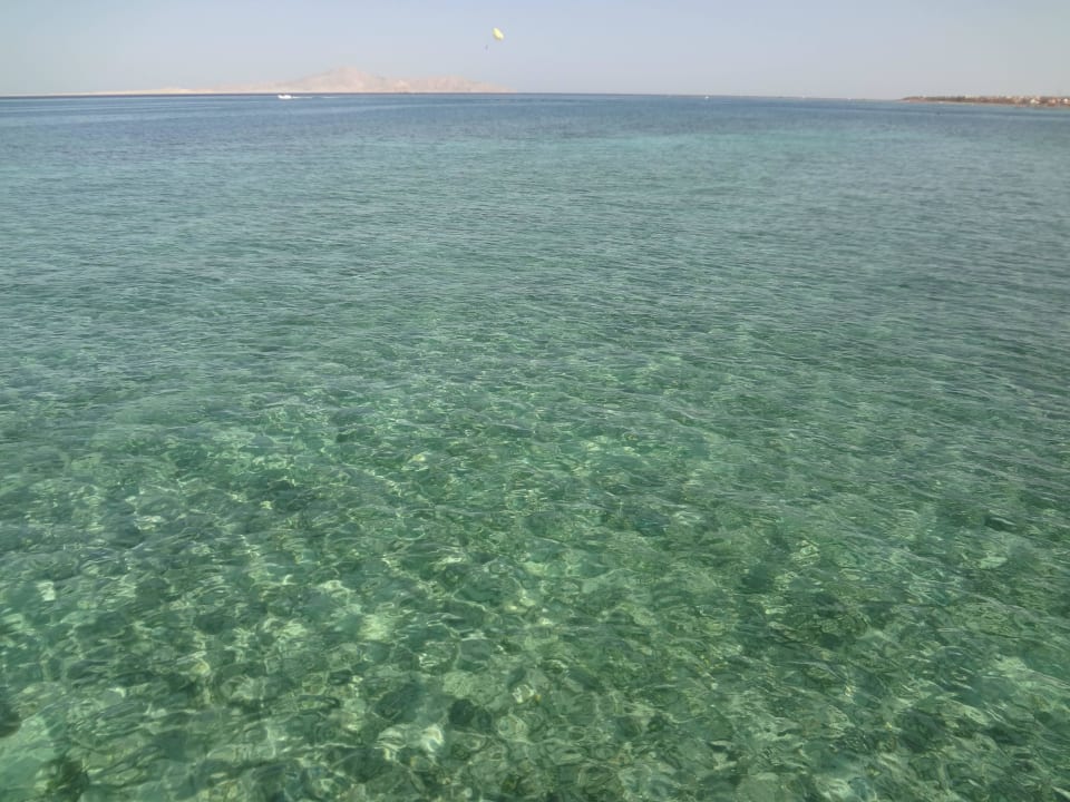 Море чистое, прозрачное Regency Plaza Aqua Park & Spa