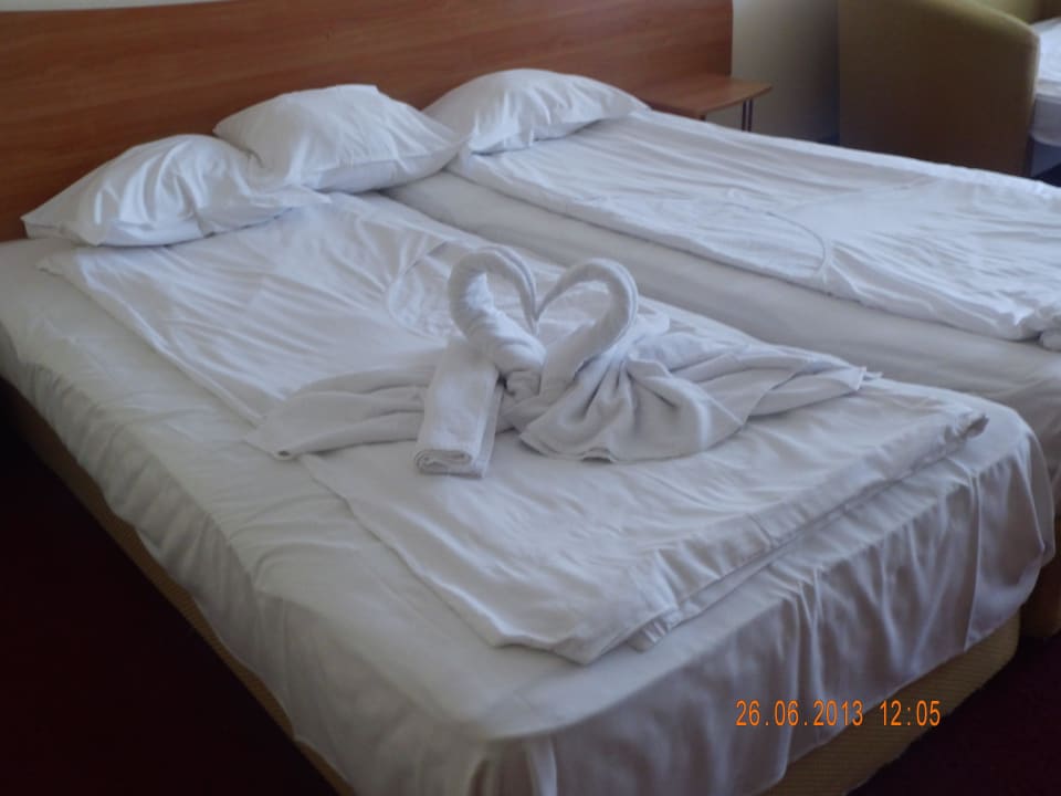 Twórczość Pani Sprzątającej  MPM Hotel Kalina Garden