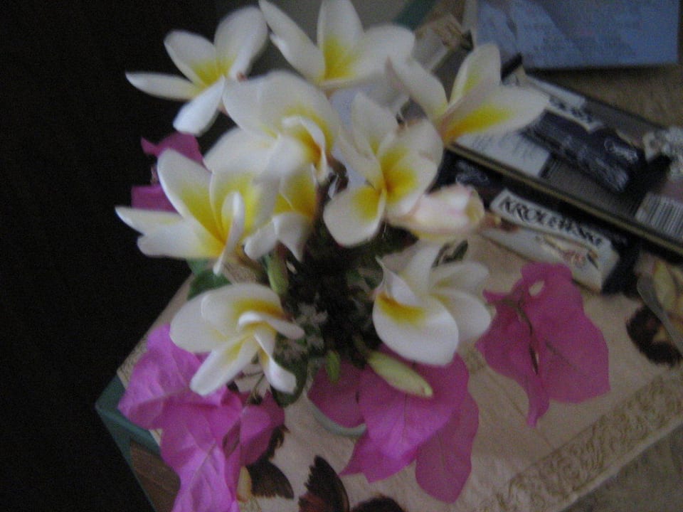 Jaśmin Hotel Amar Sina