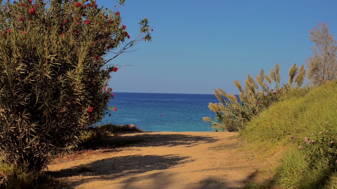Gartenanlage Crystal Springs Beach Hotel