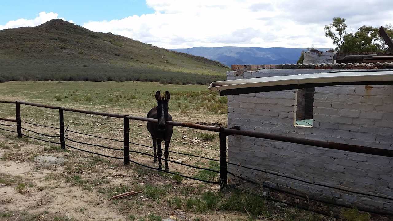 Cesar  Galenia Estate