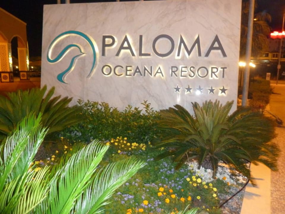 Paloma Oceana Paloma Oceana