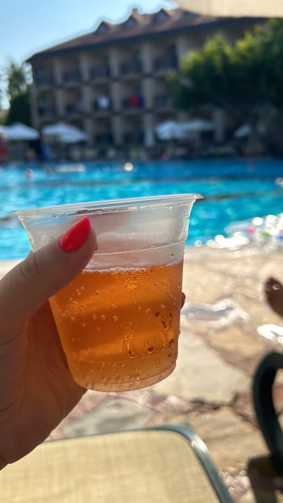 Gastro Alba Resort Hotel