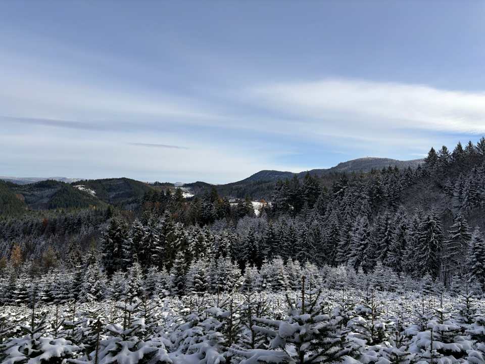 Sonstiges Hotel Restaurant Rebstock Durbach