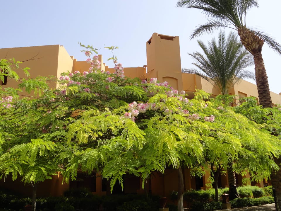 Зонт от солнца Stella Garden Resort & Spa, Makadi Bay