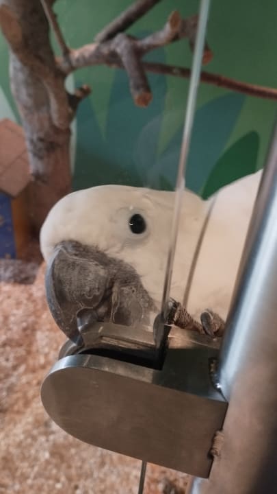 Sonstiges EdeR FriDa - Family Hotel