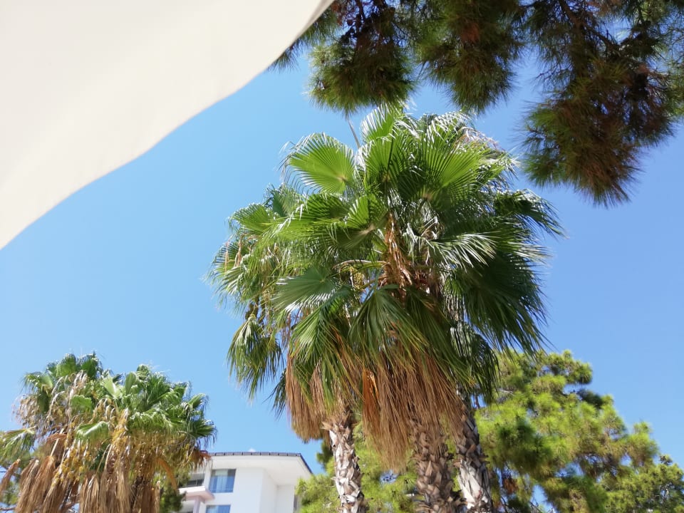 Sonstiges Kilikya Palace Göynük