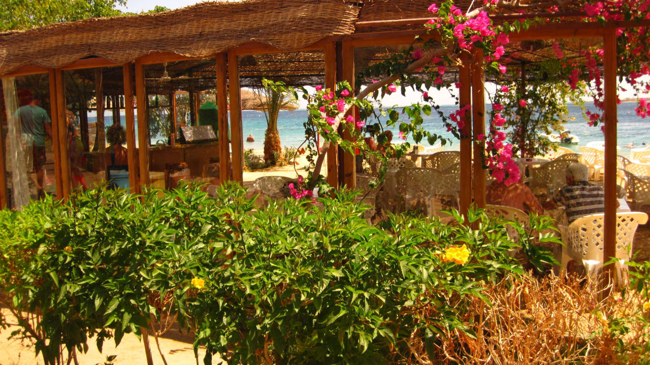 Der Weg beim New-Wing Fort Arabesque Resort, Spa & Villas
