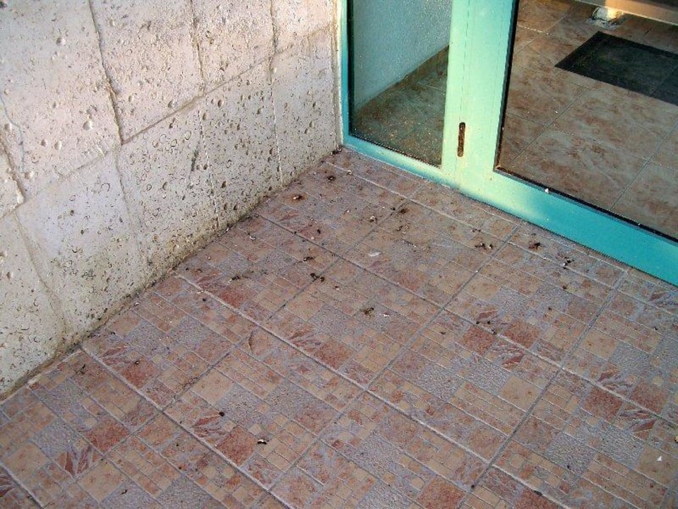 Sauberkeit, Eingang Strand? Hotel Borjana