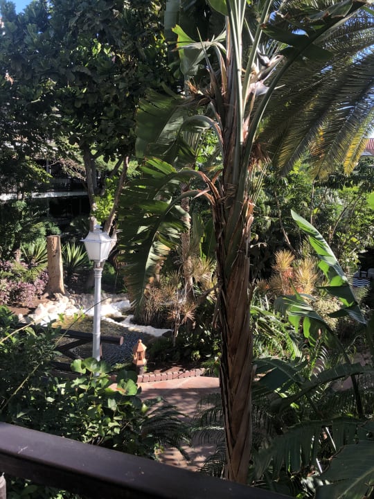 Ausblick Hotel Parque Tropical