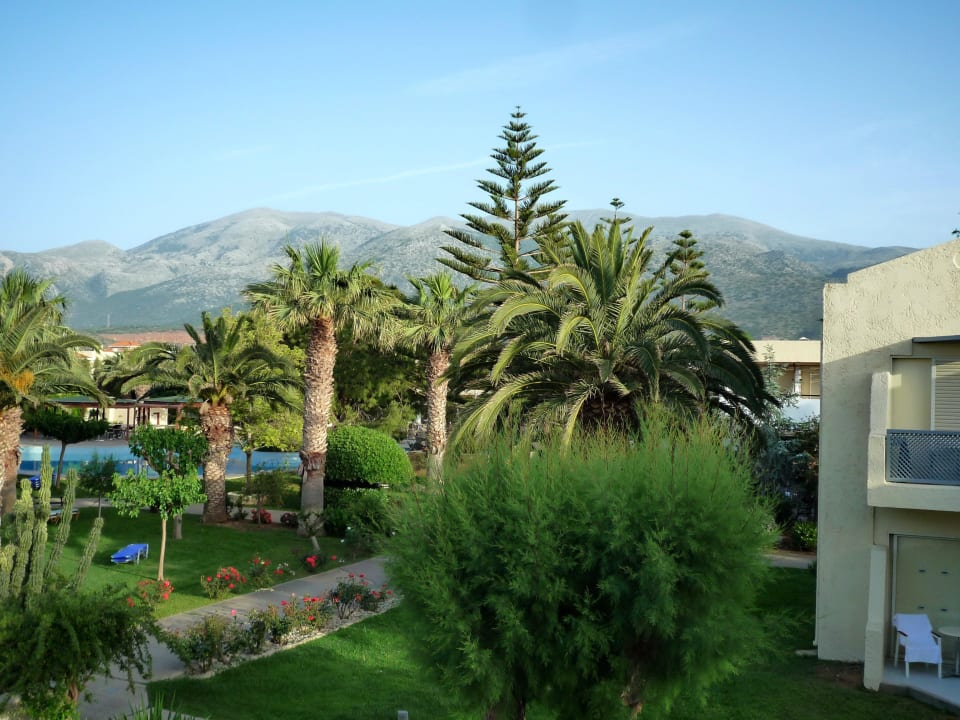 Blick Richtung Pool am Hauptgebäude Phãea Cretan Malia