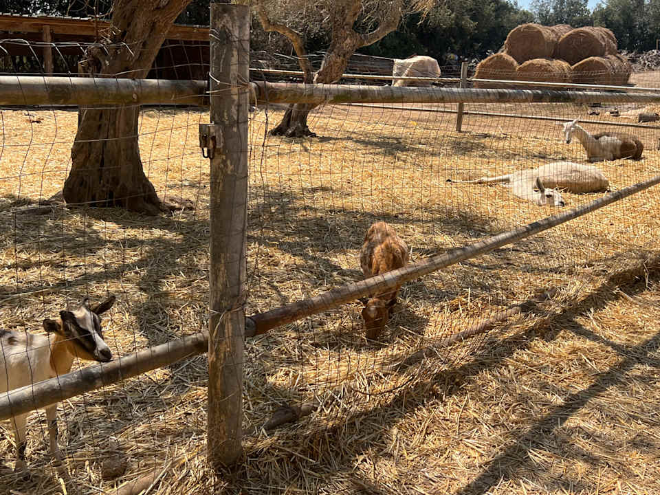 Gartenanlage Guesthouse Agriturismo Tenuta Sant'Antonio
