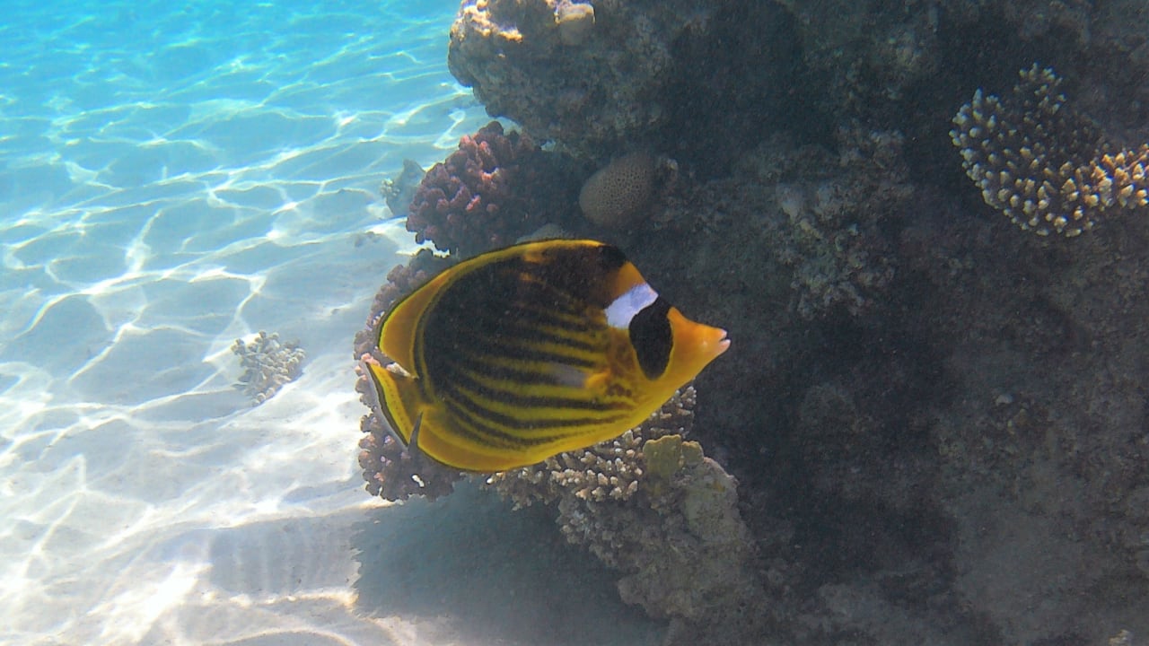 Sport & Freizeit Makadi Spa - Adults only