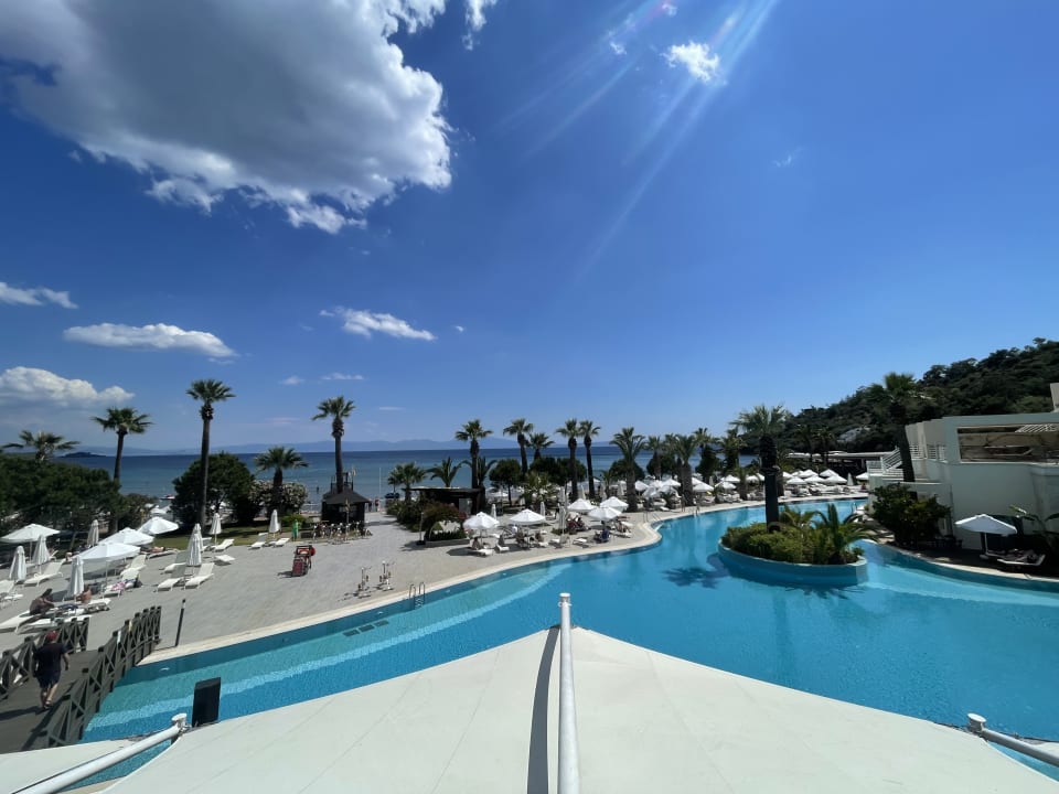 Ausblick Paloma Pasha