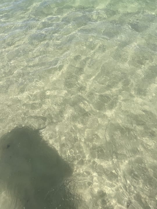 Strand Marhaba Royal Salem