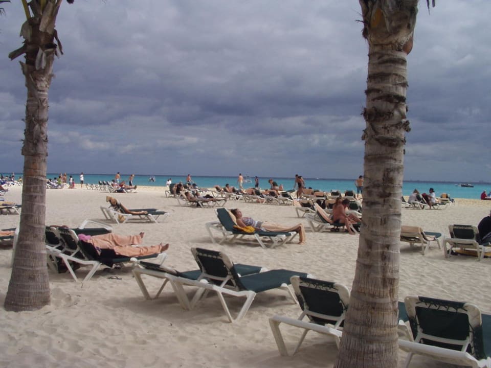 Strand unter Palmen. Hotel Riu Tequila