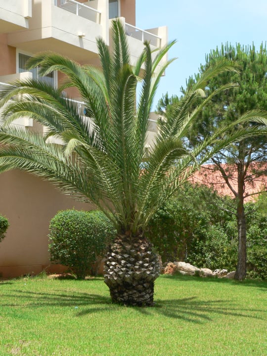 Außenansicht Garbí Cala Millor