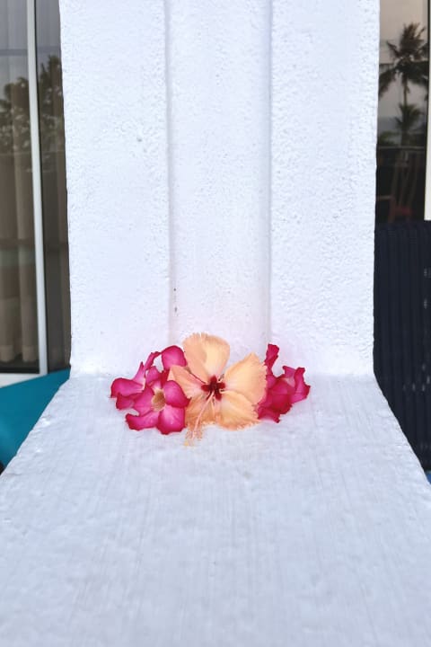 Zimmer Taj Bentota Resort & Spa