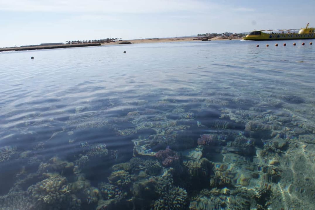 Plaża Marina Resort Port Ghalib, a member of Radisson Individuals