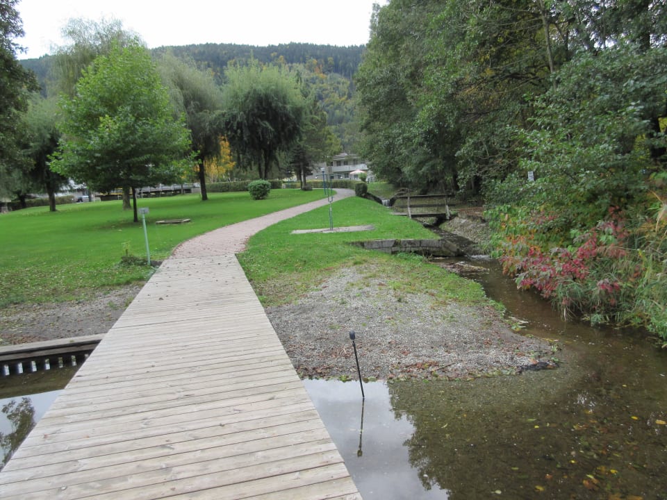 "Blick Richtung See" Sonnenresort Ossiacher See (Ossiach ...