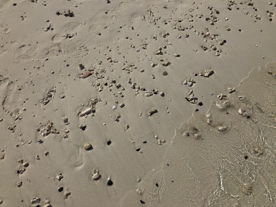 Strand Summer Island Maldives