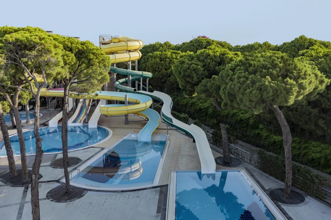 Pool Papillon Ayscha