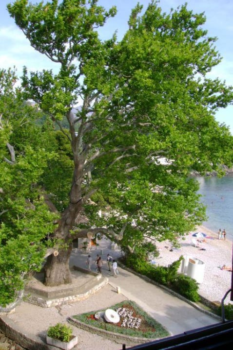 Blick vom Zimmer auf Vorplatz und Strand Maistra Select Mlini Hotel