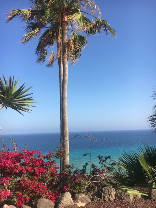 Ausblick ROBINSON ESQUINZO PLAYA
