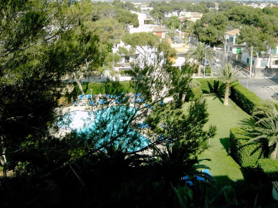 Blick in den Garten durch einen Baum AYA Seahotel - Adults only